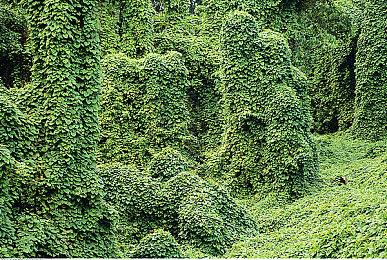 《星刃》升级3D扫描系统 油腻师姐更逼真？