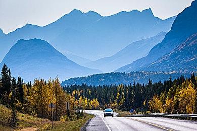 《匹诺曹的谎言》×《卧龙：苍天陨落》联动宣布