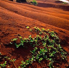 业界分析Switch 2未来宿命 对抗绝对领域手游平台